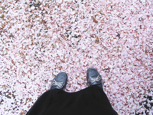 A Trip to Wetheral (13)