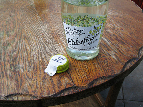 Secret Herb Garden, Edinburgh