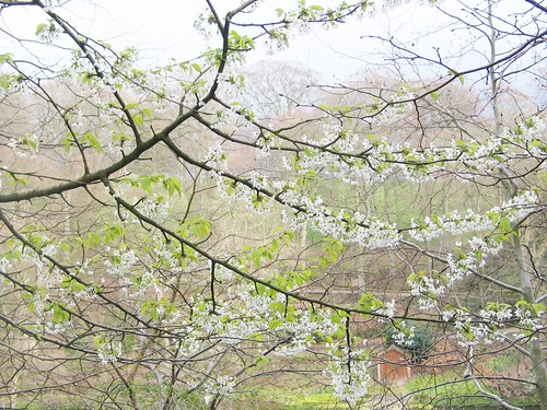 Adventures in Wordsworth Country, Apr 14