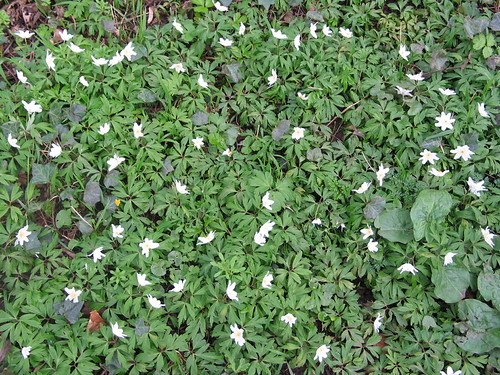 Adventures in Wordsworth Country, Apr 14