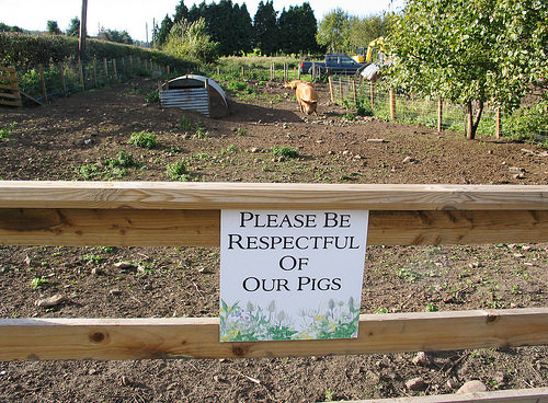 Secret Herb Garden, Edinburgh