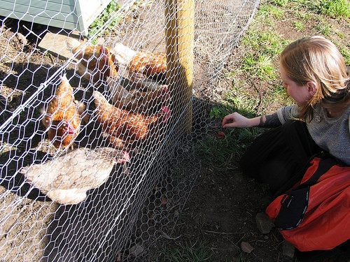 Secret Herb Garden, Edinburgh