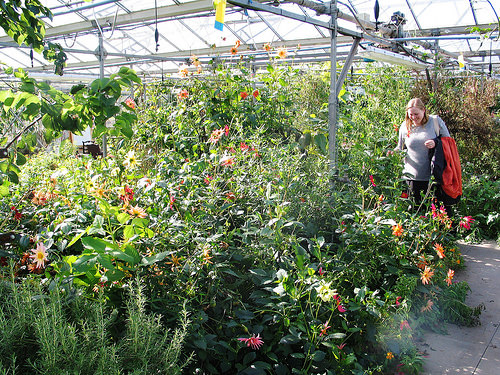 Secret Herb Garden, Edinburgh