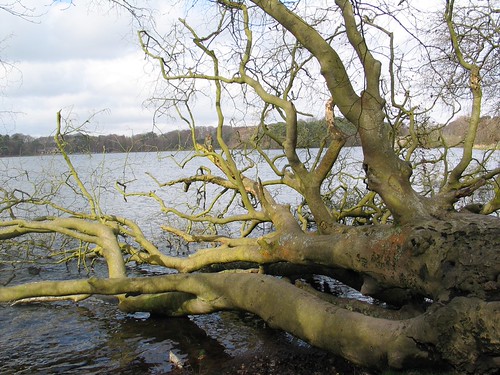 Adventures in Wordsworth Country, Apr 14