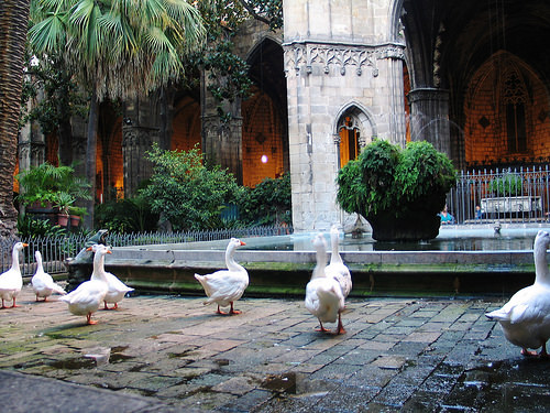 Barcelona Autumn 2014 (76)