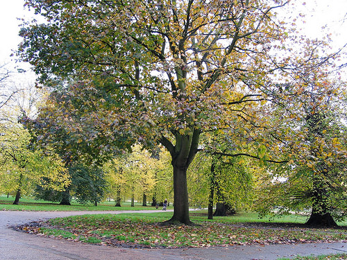 London weekend, Nov 14