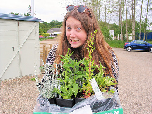Secret Herb Garden again