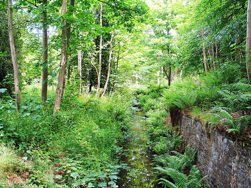 East Lothian weekend