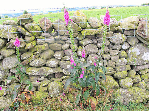 North Cumbria weekend