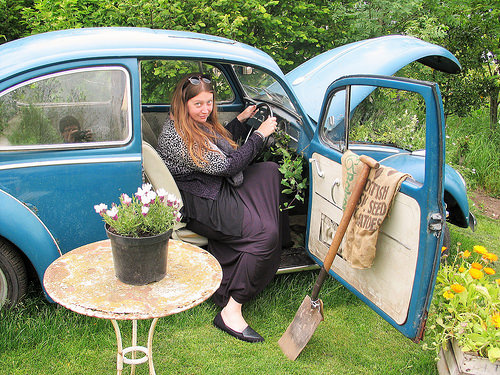 Secret Herb Garden again