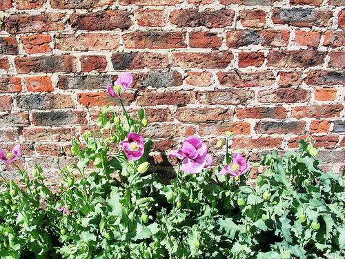 East Lothian weekend