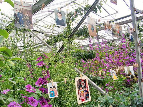 Secret Herb Garden again