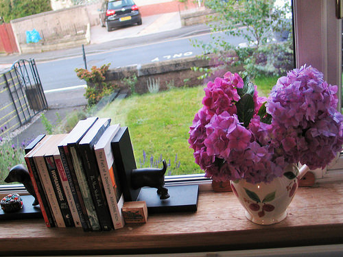 Hydrangeas from my front garden :)