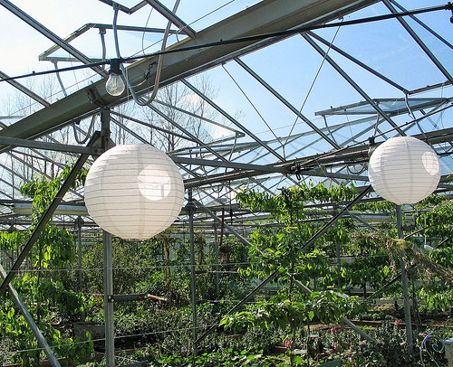 Secret Herb Garden, Old Pentland