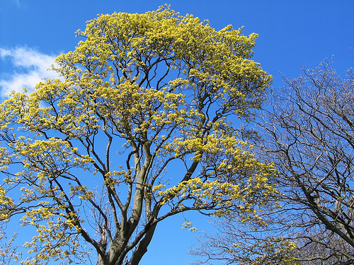 Recent Edinburgh adventures...