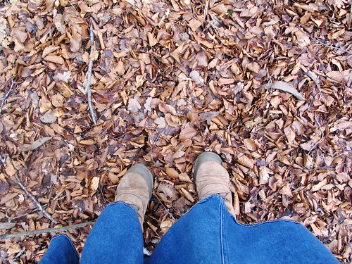 Adventures in Wordsworth Country, Apr 14