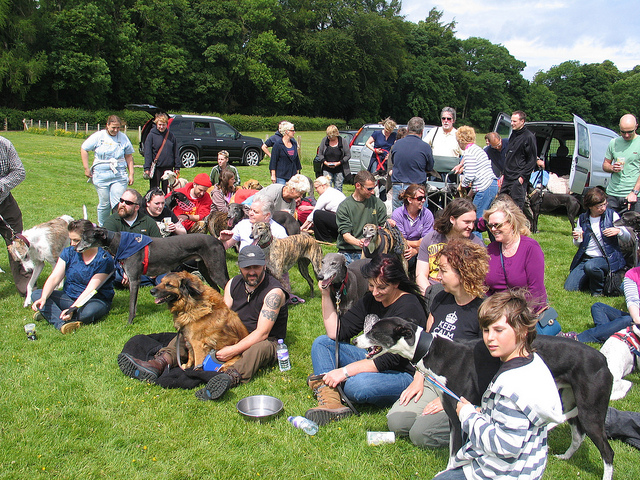 The Vogrie Park Greyhound Meet!