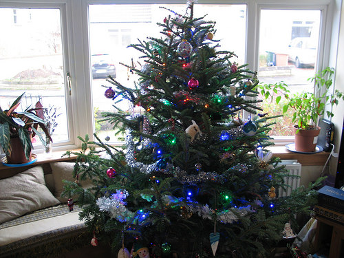 My Christmas tree 2014!