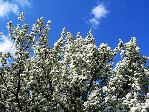 Recent Edinburgh adventures...