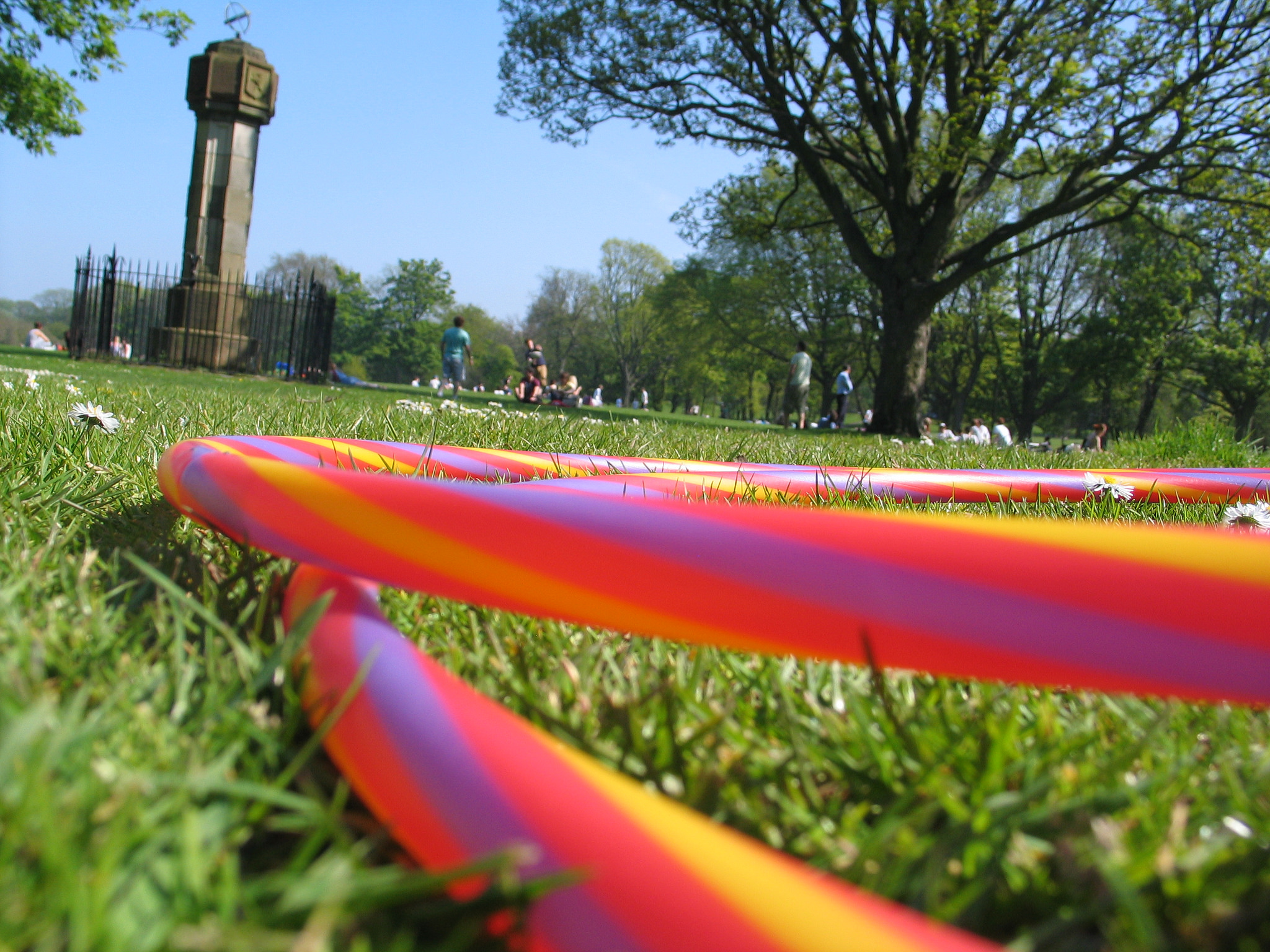 Hooping in the Meadows